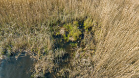 jezioro Guber - zdjęcie 28