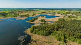 jezioro Guber - zdjęcie 16