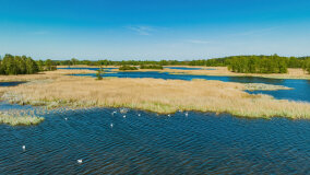 jezioro Guber - zdjęcie 7