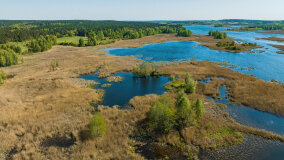 jezioro Guber - zdjęcie 6