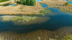jezioro Guber - zdjęcie 5