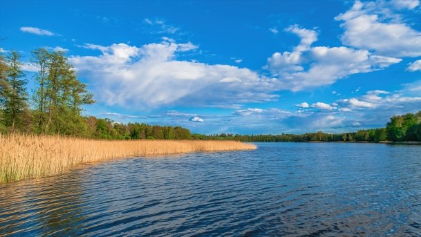 Wojnowo - zdjęcie 12