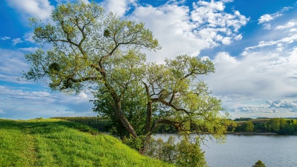 Wojnowo - zdjęcie 7