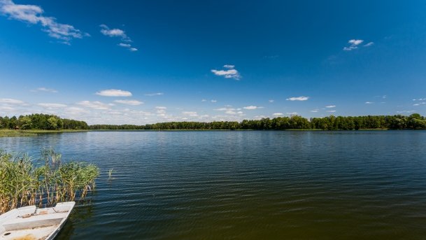 Bielewo - zdjęcie 27