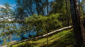 jezioro Bielewo - zdjęcie 19