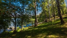 jezioro Bielewo - zdjęcie 13