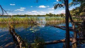 jezioro Bielewo - zdjęcie 11