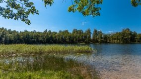 jezioro Bielewo - zdjęcie 9