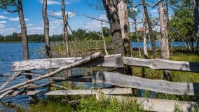 jezioro Bielewo - zdjęcie 7