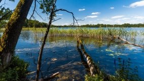 jezioro Bielewo - zdjęcie 6