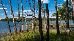 jezioro Bielewo - zdjęcie 4