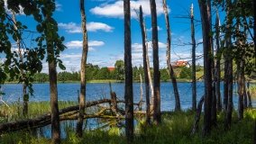 jezioro Bielewo - zdjęcie 3