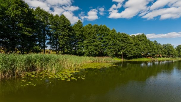 Orzysz - zdjęcie 21