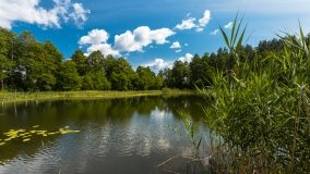 jezioro Mokre - zdjęcie 28