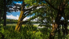 jezioro Mokre - zdjęcie 2