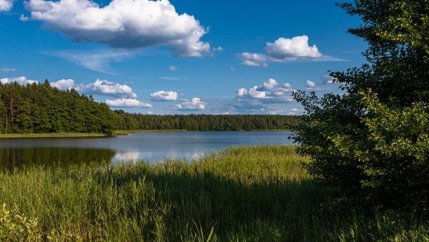 Kierwik - zdjęcie 2