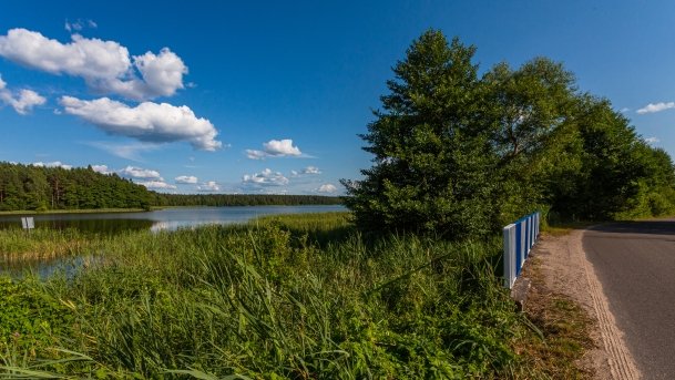 Kierwik - zdjęcie 1