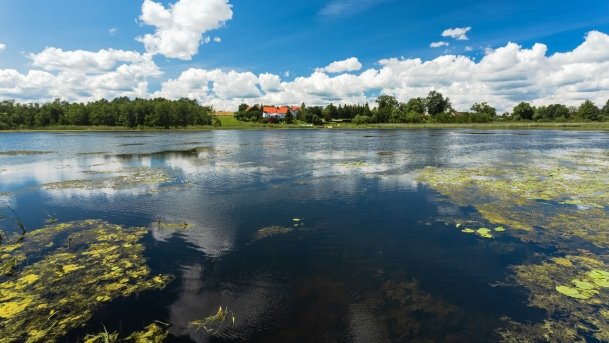 Juksty - zdjęcie 60