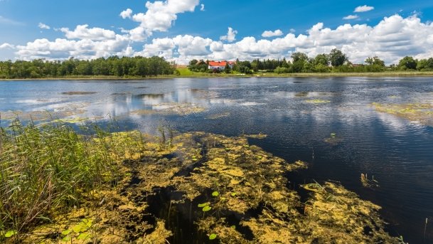 Juksty - zdjęcie 58