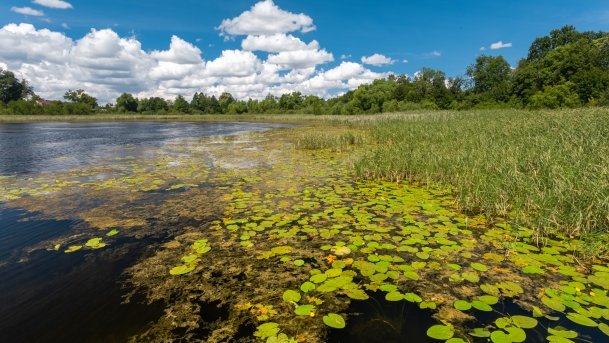 Juksty - zdjęcie 54