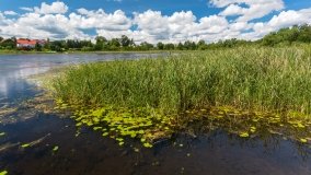 jezioro Juksty - zdjęcie 53