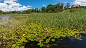 jezioro Juksty - zdjęcie 51