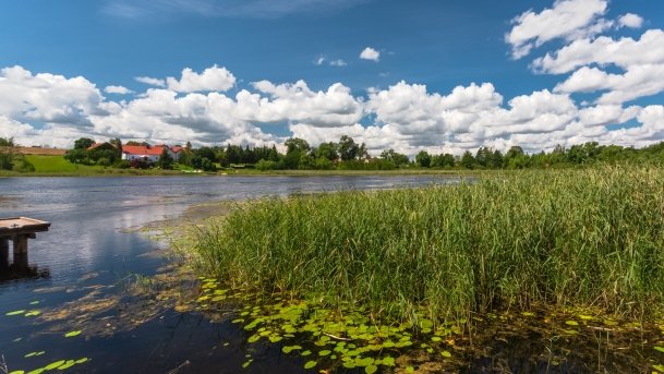 Juksty - zdjęcie 49