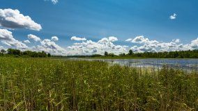 jezioro Juksty - zdjęcie 48