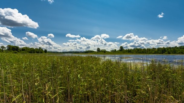 Juksty - zdjęcie 48