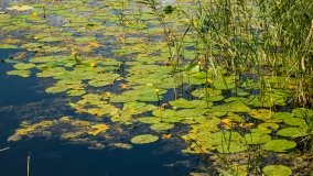 jezioro Juksty - zdjęcie 45