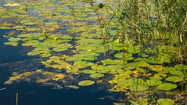 Juksty - zdjęcie 45