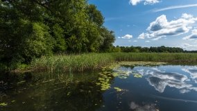 jezioro Juksty - zdjęcie 38