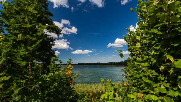 Juksty - zdjęcie 33