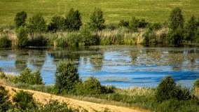 jezioro Juksty - zdjęcie 29