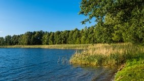 jezioro Juksty - zdjęcie 26