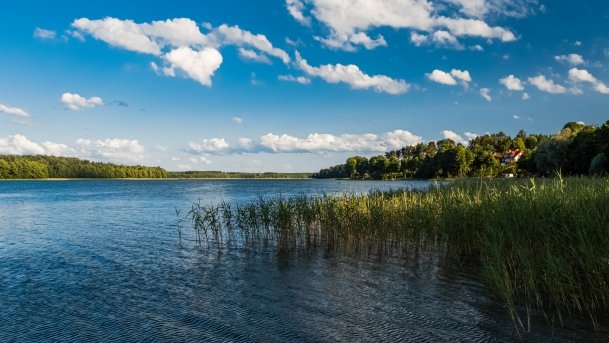 Juksty - zdjęcie 19