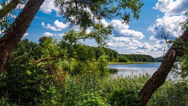 Probarskie - zdjęcie 53