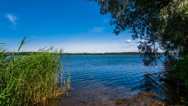 Probarskie - zdjęcie 39