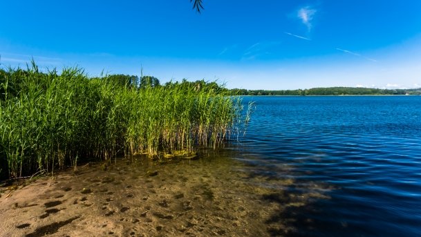 Probarskie - zdjęcie 38