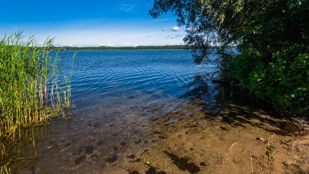 Probarskie - zdjęcie 37