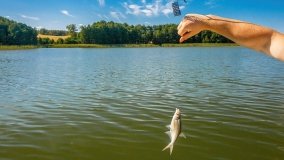 jezioro Wierzbowskie - zdjęcie 23