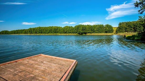 Wierzbowskie - zdjęcie 21