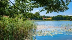 jezioro Wierzbowskie - zdjęcie 20