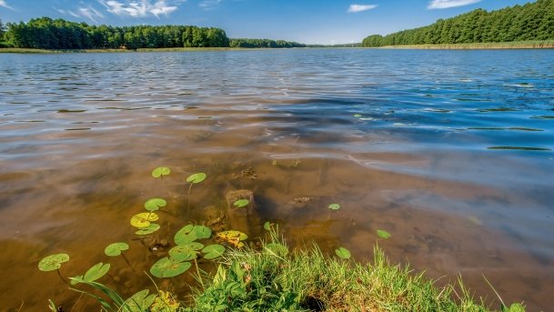 Wierzbowskie - zdjęcie 19