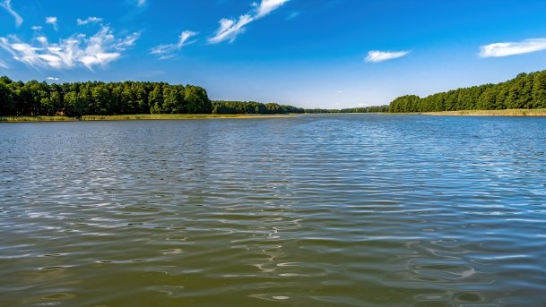 Wierzbowskie - zdjęcie 18