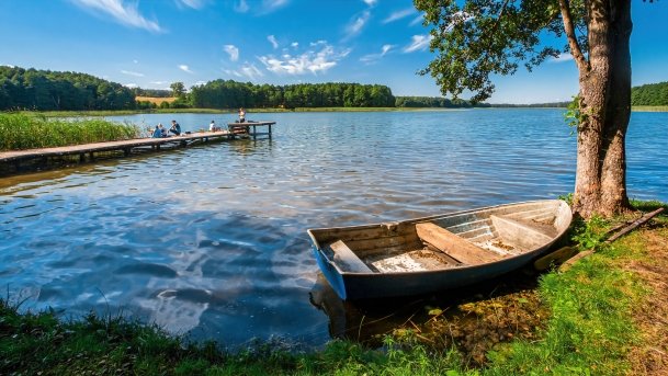 Wierzbowskie - zdjęcie 17