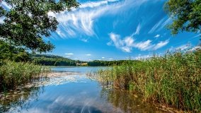 jezioro Wierzbowskie - zdjęcie 16