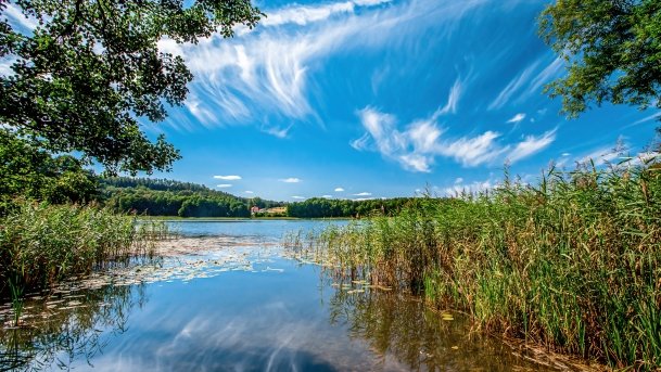 Wierzbowskie - zdjęcie 16