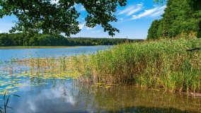 jezioro Wierzbowskie - zdjęcie 15