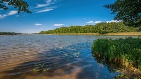 jezioro Wierzbowskie - zdjęcie 14